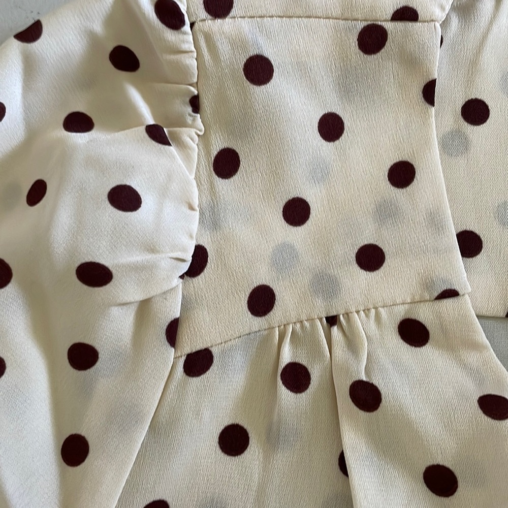 Steve Madden♥️BB Dakota long sleeve smoked mini dress size (medium) - Picture 5 of 7